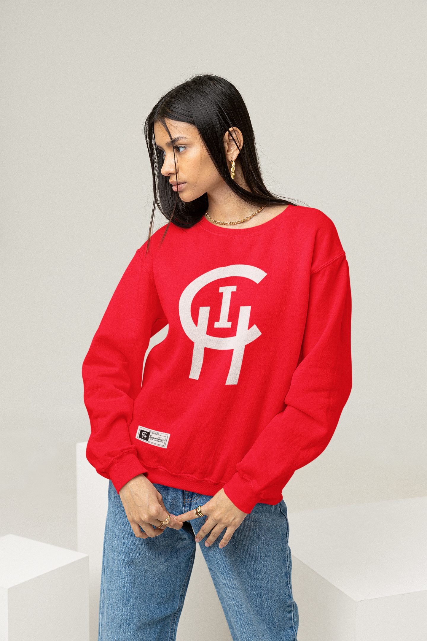 Chi Signature Chicago Chi Hoodie Black / 2x